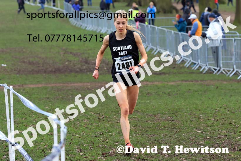 Womens Under-20s, 2024 CAU Inter Counties Cross Country Champs., Wollaton Park, Nottingham. Photo: David T. Hewitson/Sports for All Pics